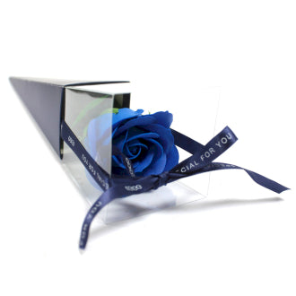 3 Packs Rose - Blue Rose